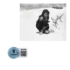 Sophia Loren - Signed Photo - Two Women (La ciociara) BAS Hologram QR Code