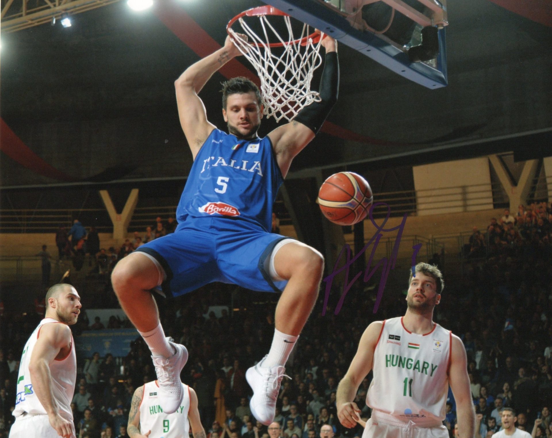 Alessandro Gentile Autografo Sport Signed Photo Coa Foto Autografata Basketball 