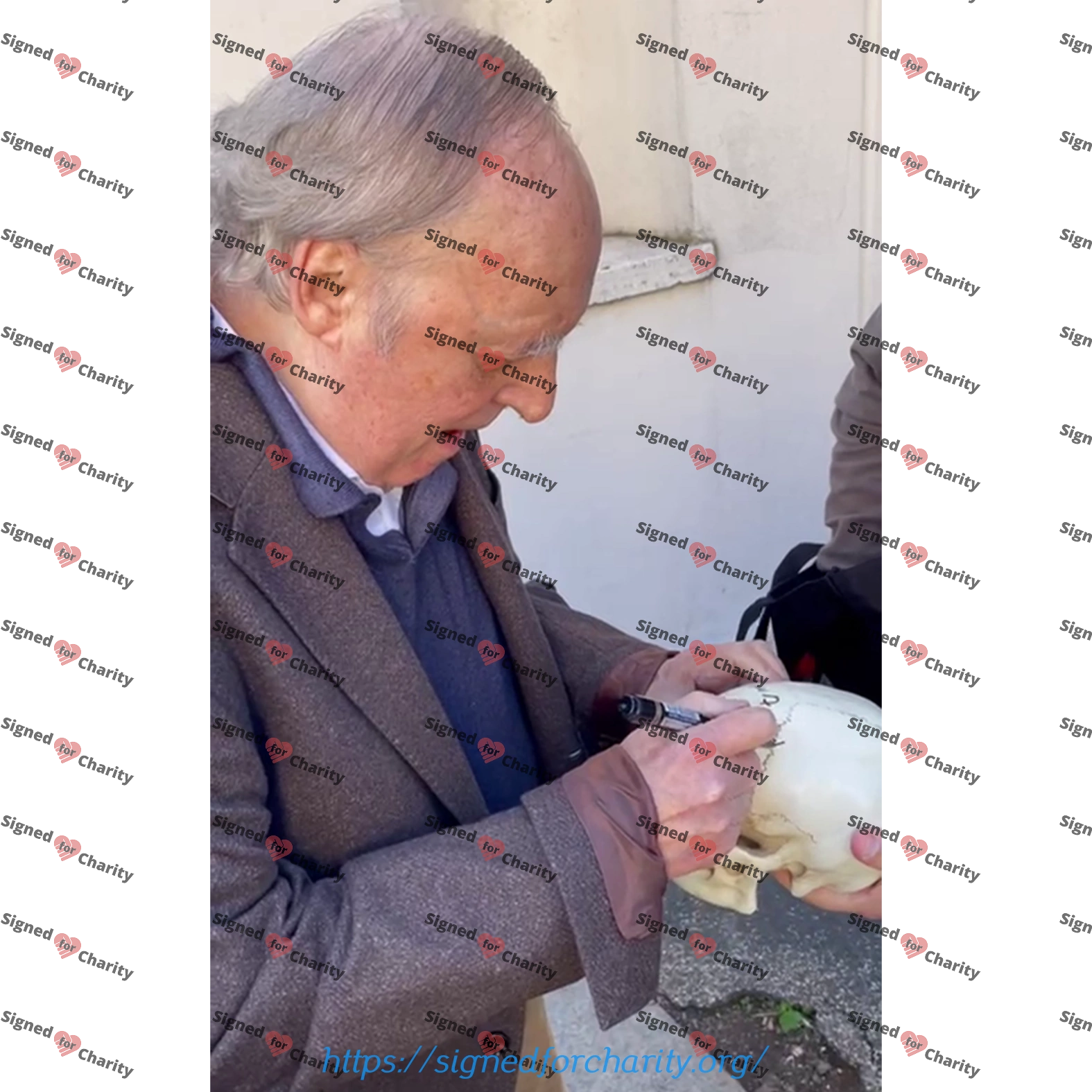 Life Size Skull Prop Replica Signed by Dario Argento Horror Movie Memorabilia - Image 2