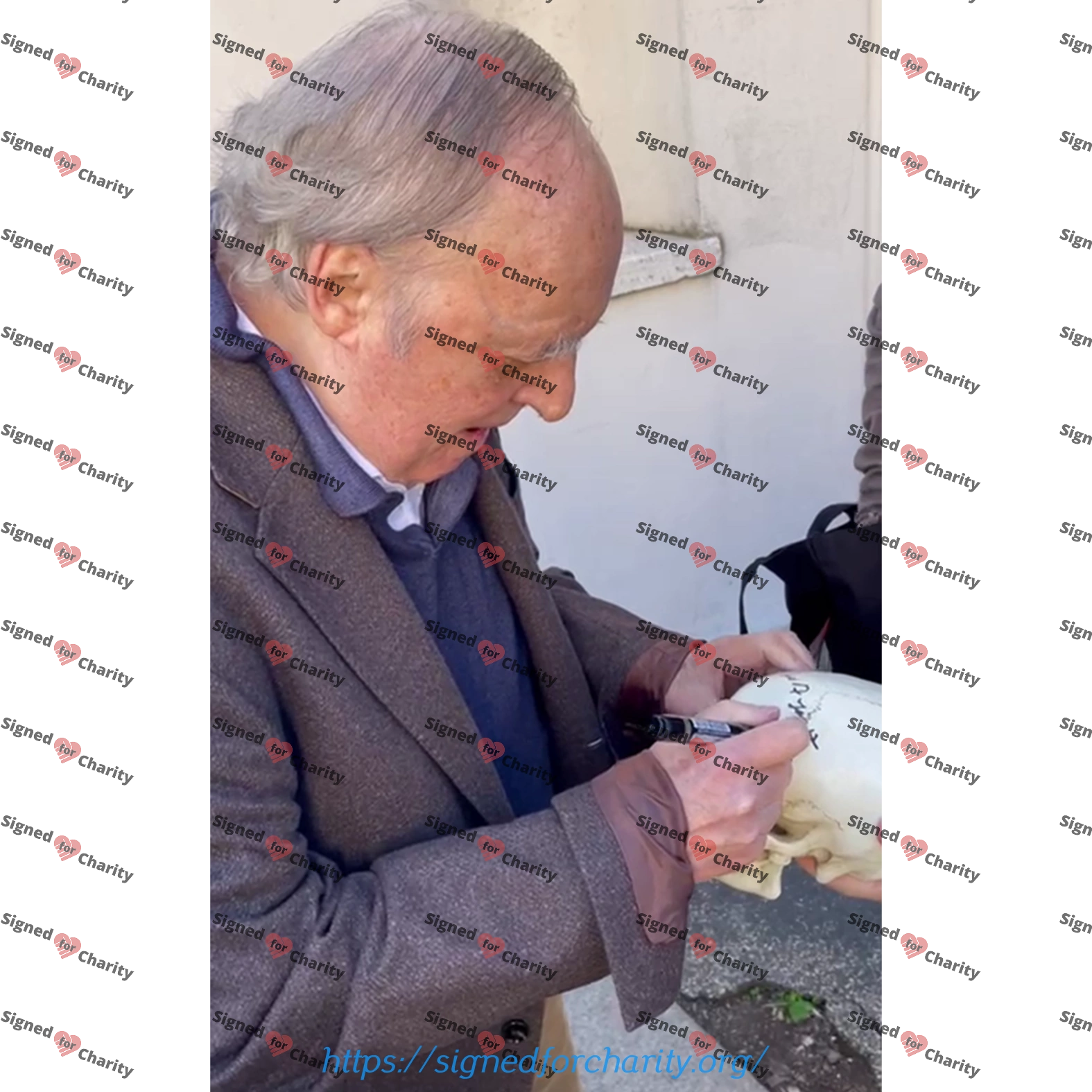 Life Size Skull Prop Replica Signed by Dario Argento Horror Movie Memorabilia - Image 8