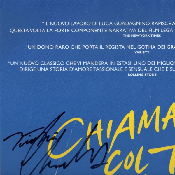 Timothée Chalamet, Armie Hammer and James Ivory - Signed Poster - Chiamami col tuo nome (2017) - Image 2