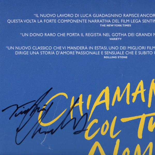 Timothée Chalamet, Armie Hammer and James Ivory - Signed Poster - Chiamami col tuo nome (2017) - Image 3