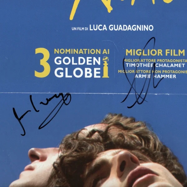 Timothée Chalamet, Armie Hammer and James Ivory - Signed Poster - Chiamami col tuo nome (2017) - Image 4