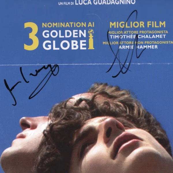 Timothée Chalamet, Armie Hammer and James Ivory - Signed Poster - Chiamami col tuo nome (2017) - Image 5