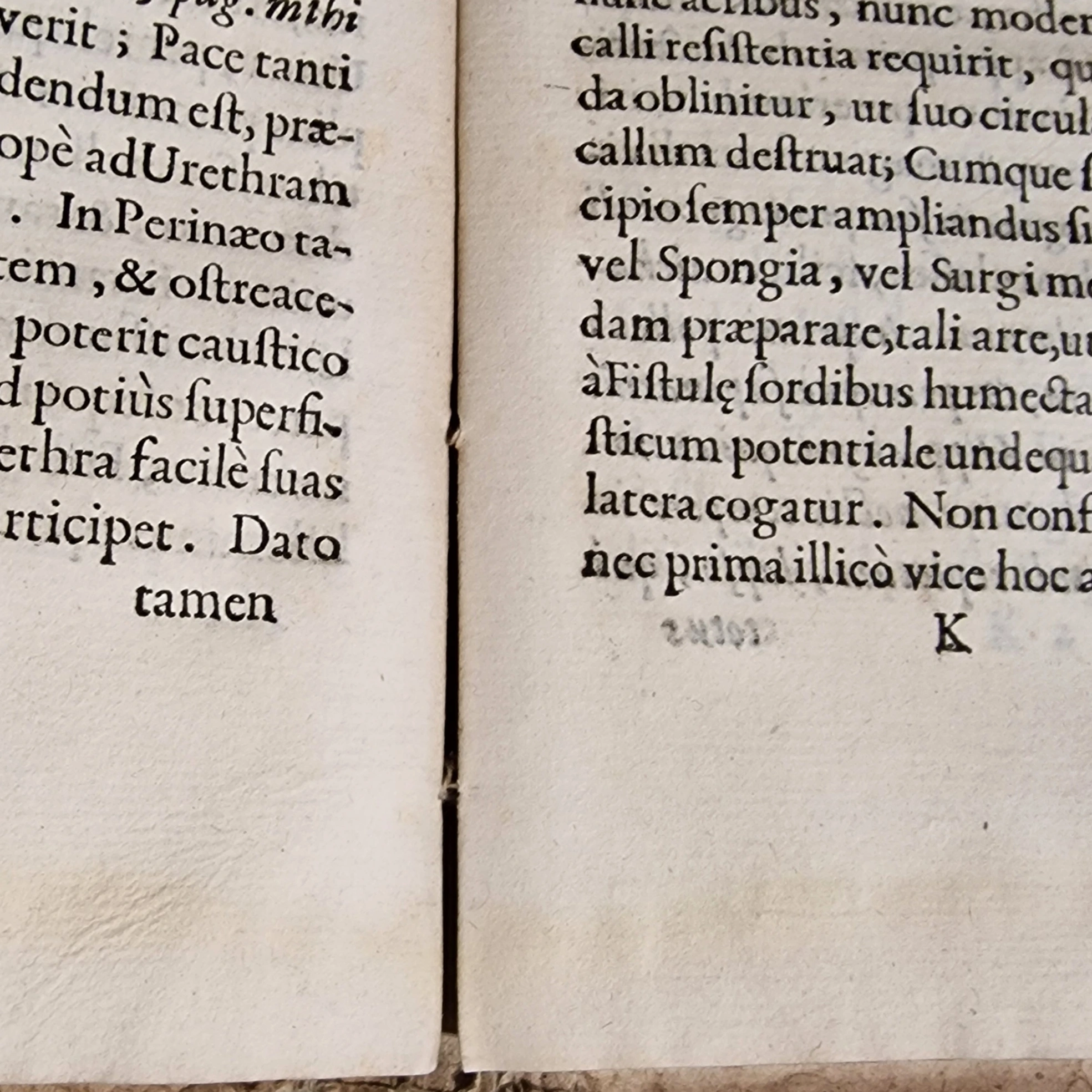 Antique medical book (1720) Francesco Roncalli Exercitatio Medico-Chirurgica - Image 12