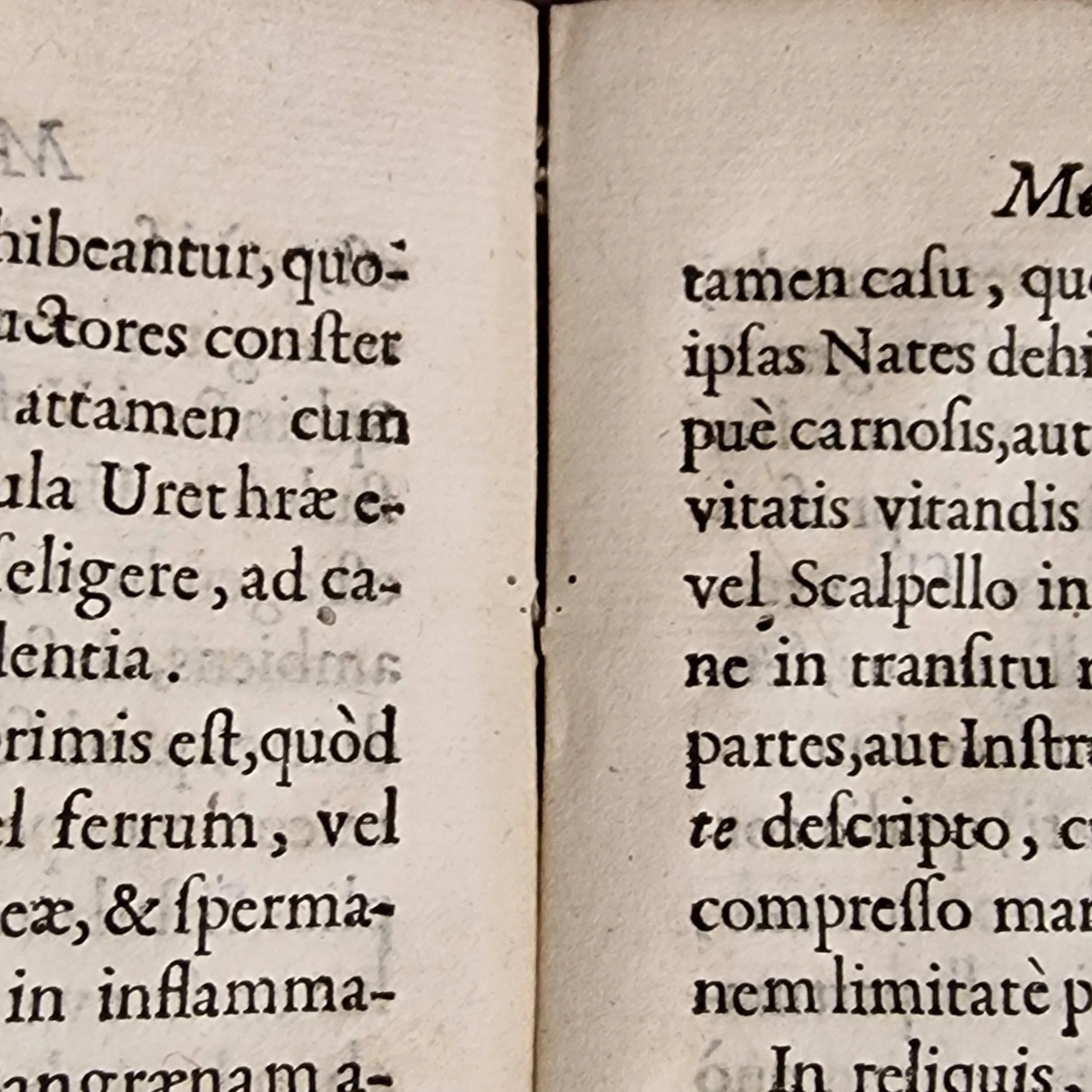 Antique medical book (1720) Francesco Roncalli Exercitatio Medico-Chirurgica - Image 13