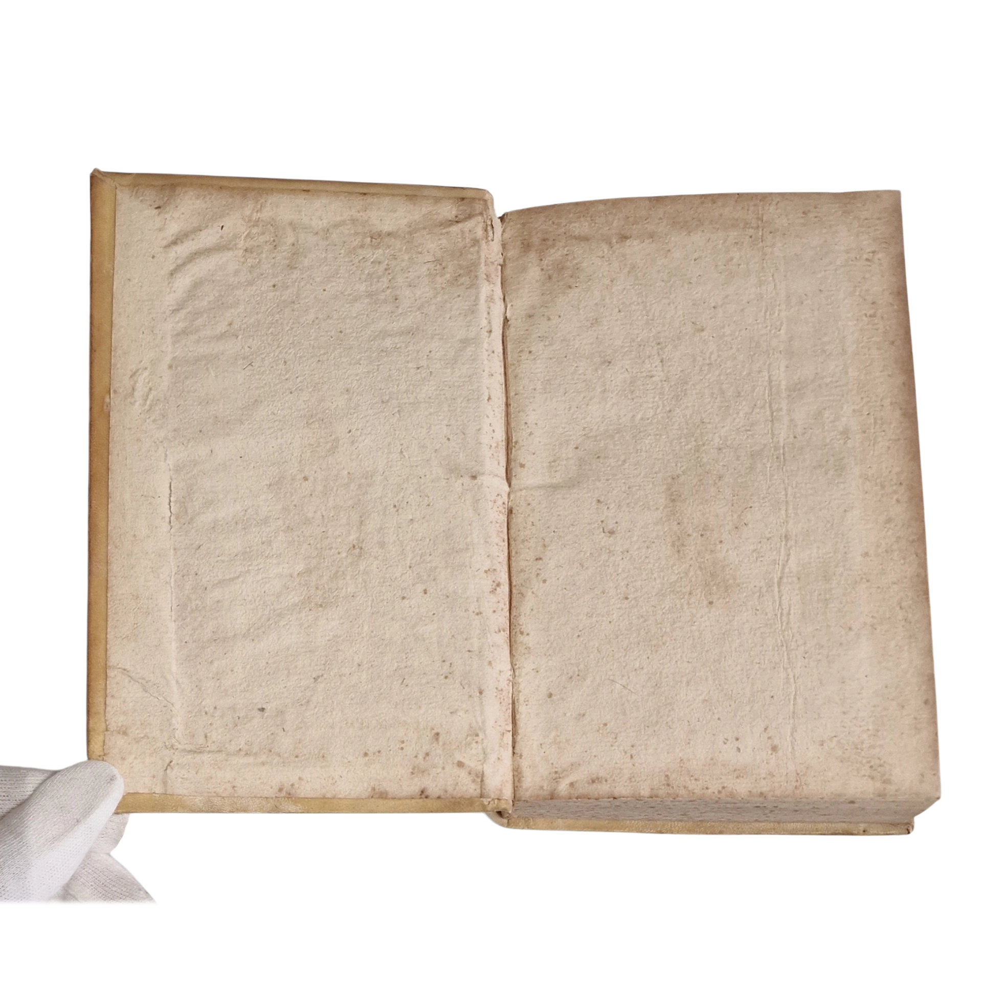 Antique medical book (1761) Laurentii Heister Compendium Anatomicum Naples Latin with engraved plates + Certificate - Image 3