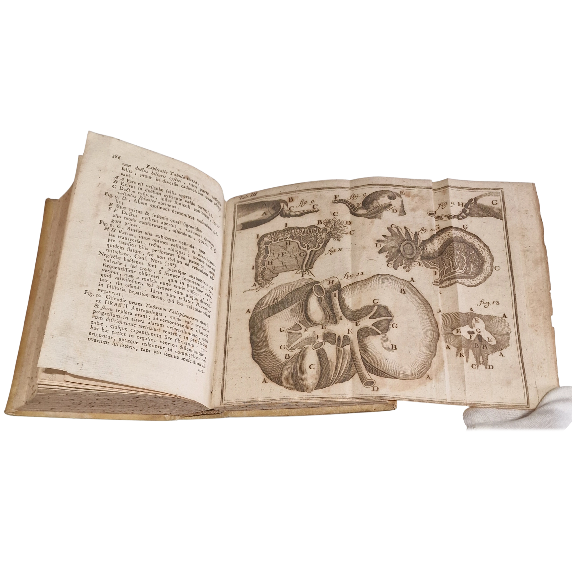 Antique medical book (1761) Laurentii Heister Compendium Anatomicum Naples Latin with engraved plates + Certificate - Image 7