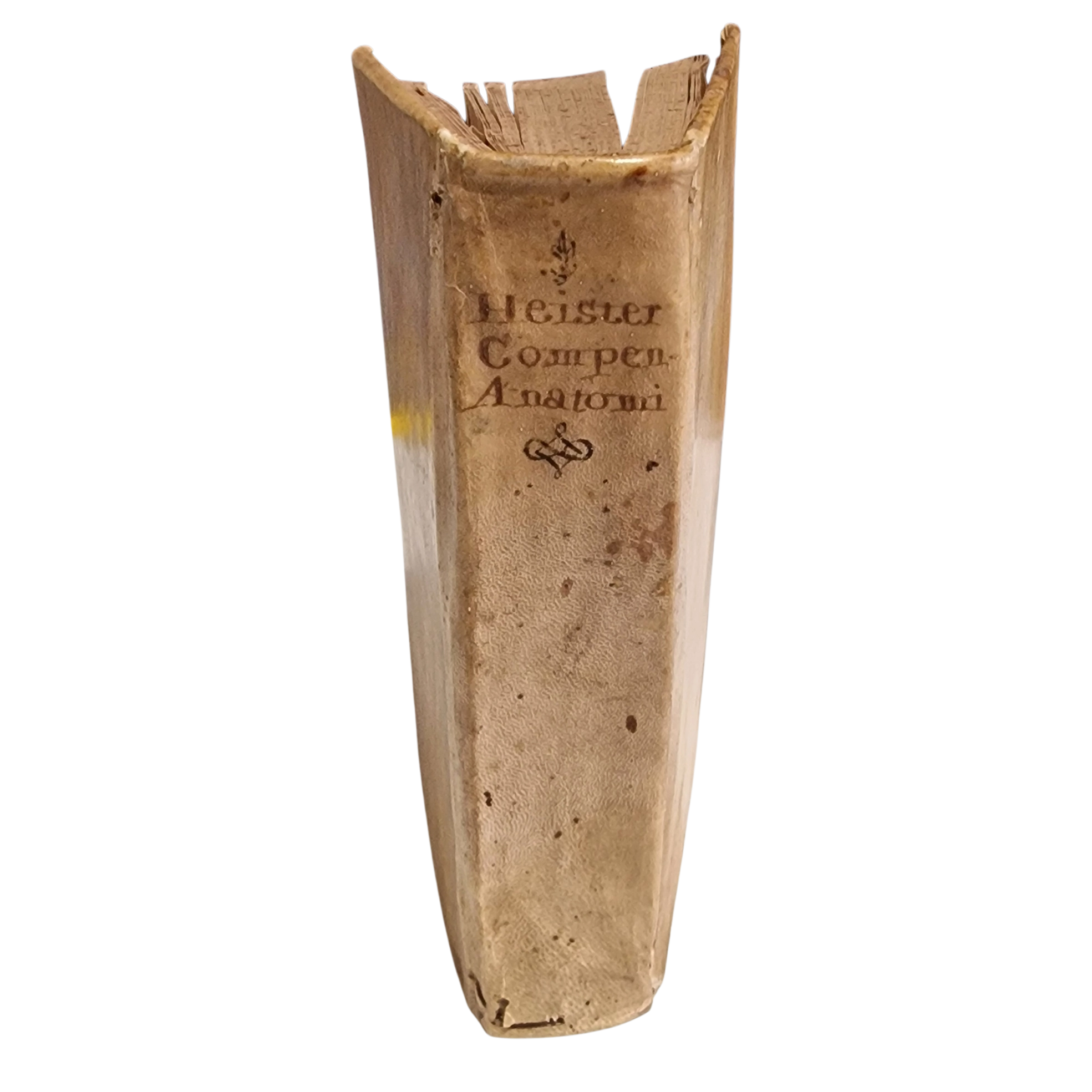 Antique medical book (1761) Laurentii Heister Compendium Anatomicum Naples Latin with engraved plates + Certificate - Image 21