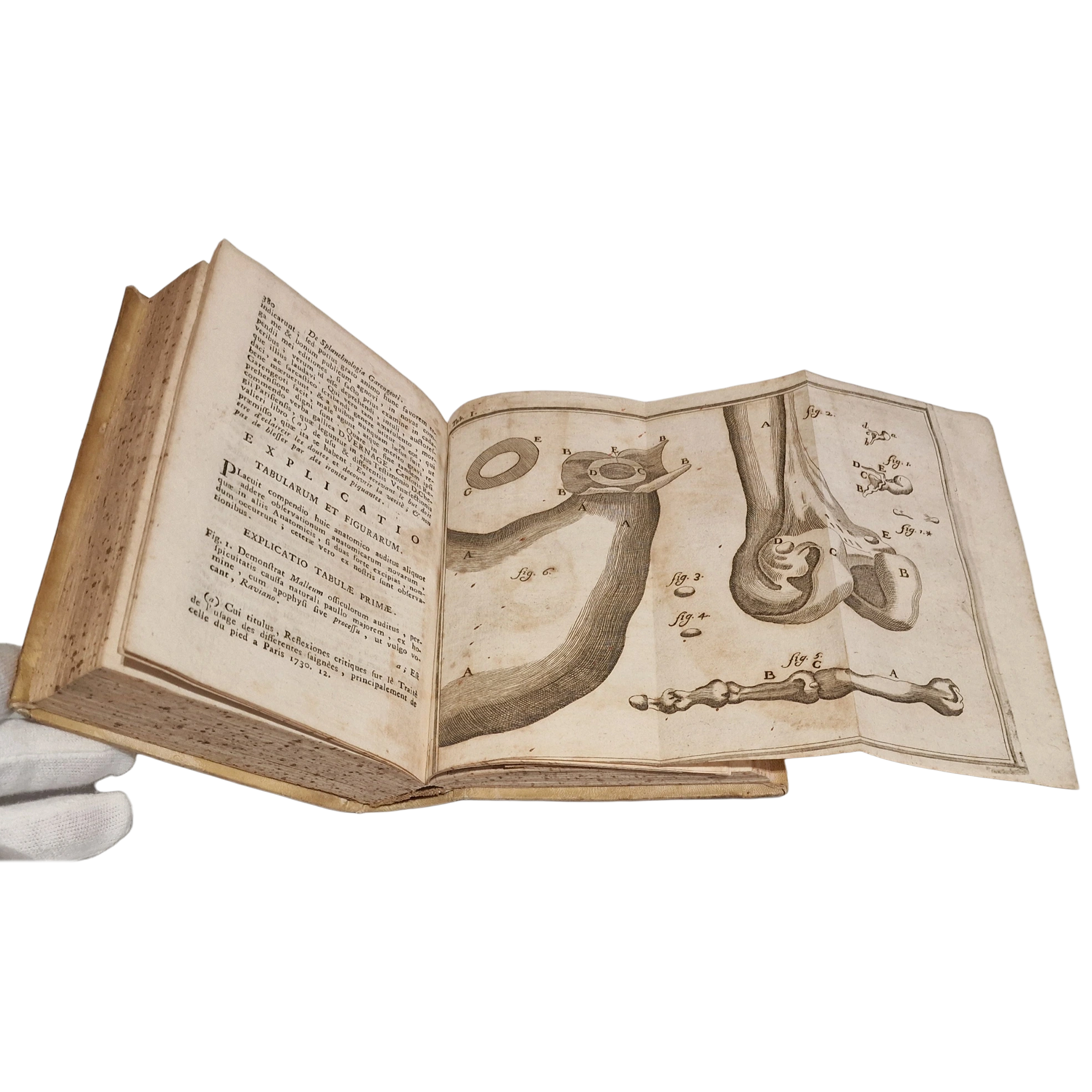 Antique medical book (1761) Laurentii Heister Compendium Anatomicum Naples Latin with engraved plates + Certificate - Image 9