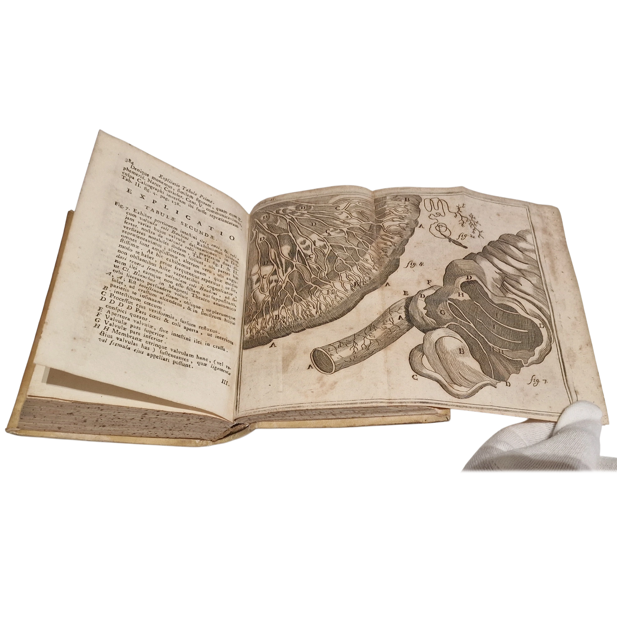 Antique medical book (1761) Laurentii Heister Compendium Anatomicum Naples Latin with engraved plates + Certificate - Image 10