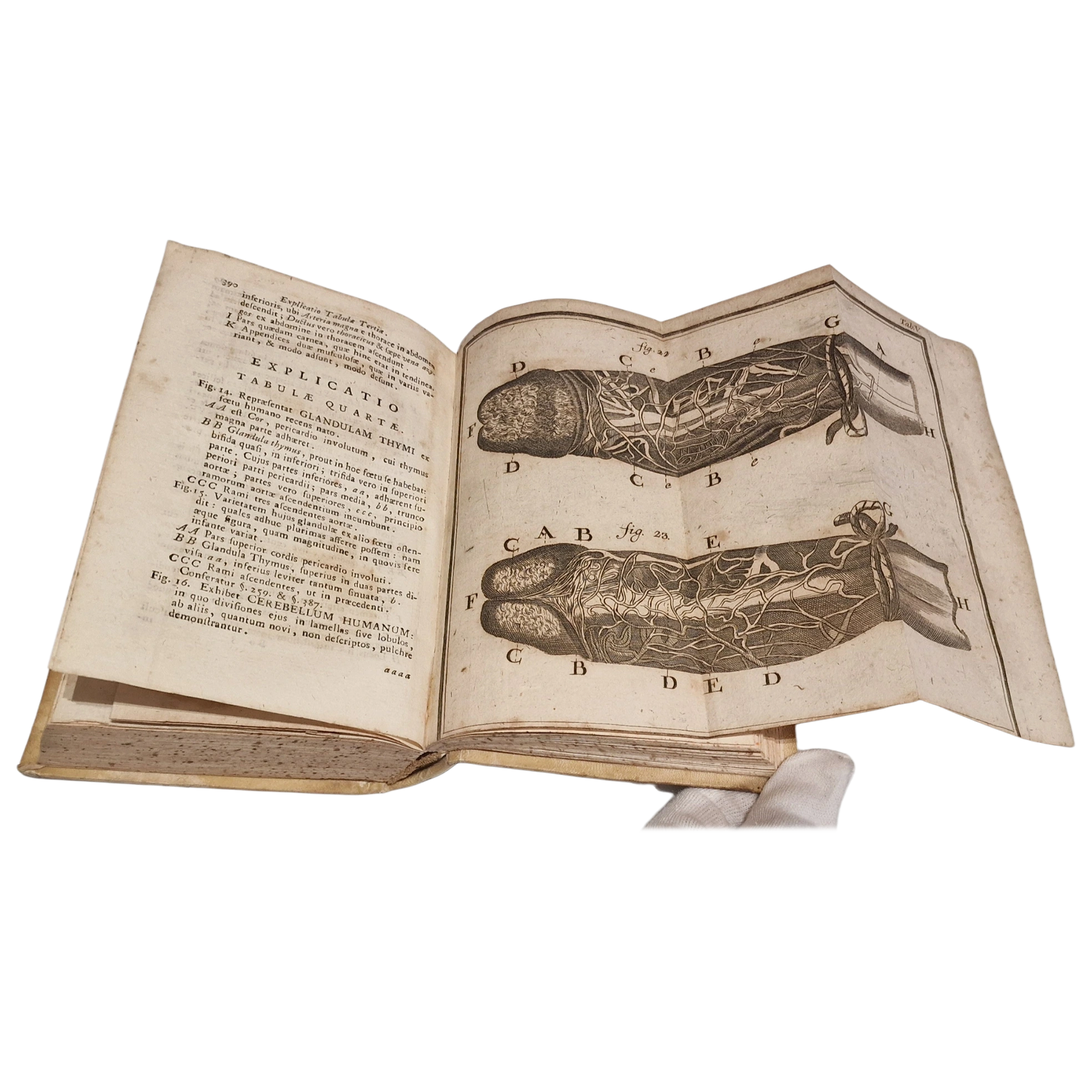 Antique medical book (1761) Laurentii Heister Compendium Anatomicum Naples Latin with engraved plates + Certificate - Image 11