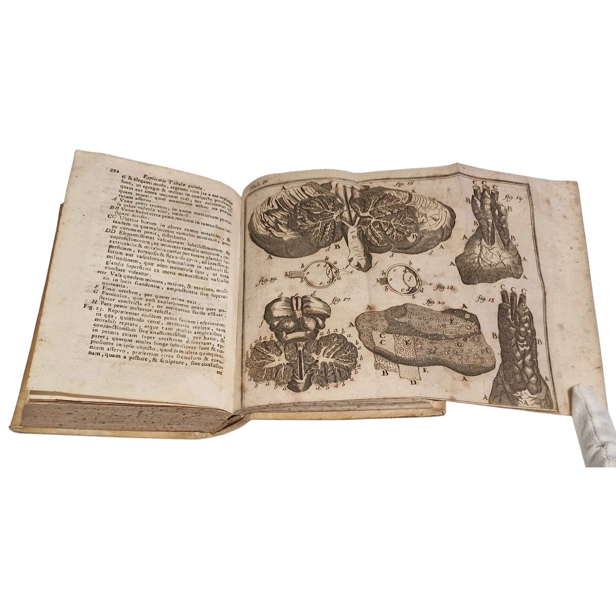 Antique medical book (1761) Laurentii Heister Compendium Anatomicum Naples Latin with engraved plates + Certificate - Image 12