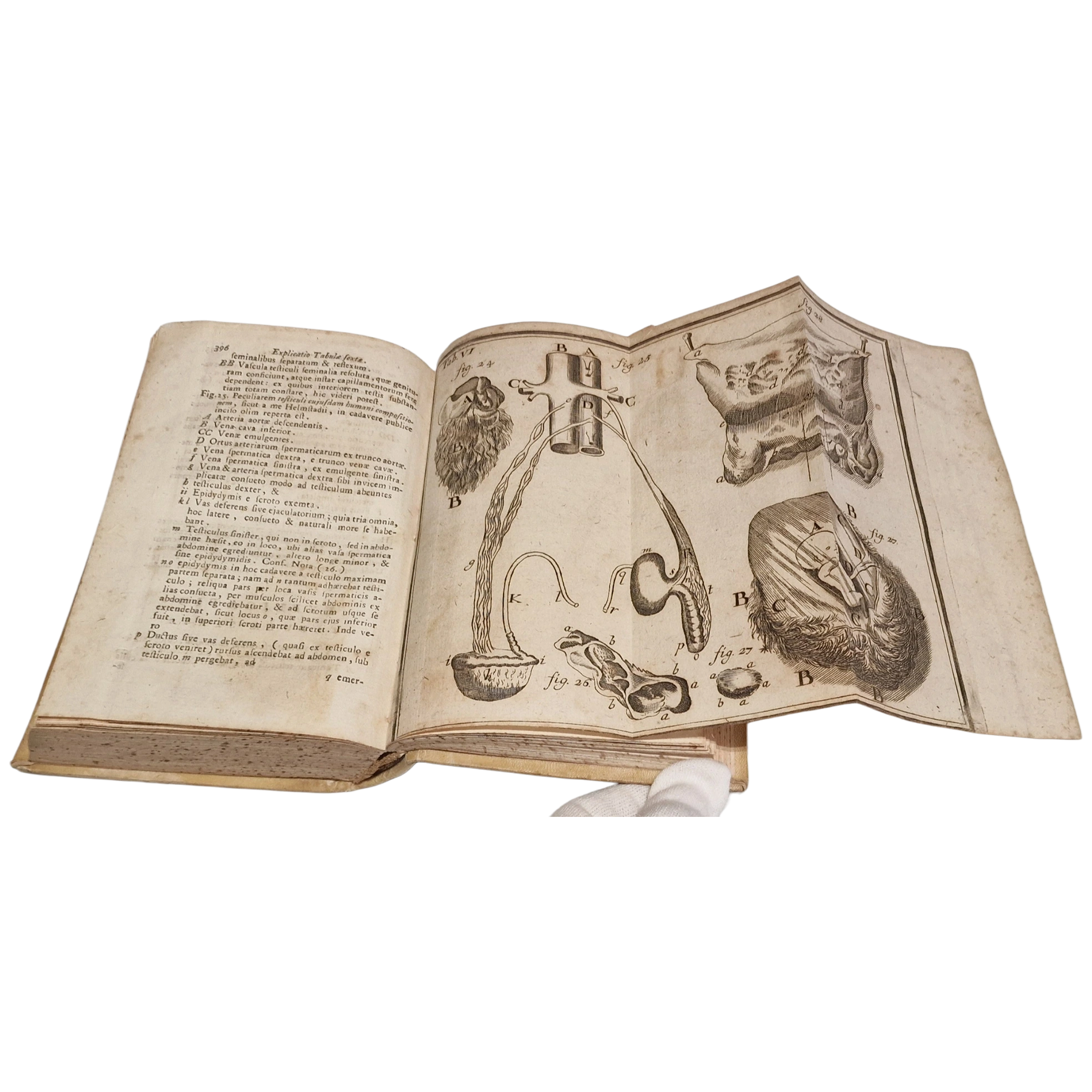 Antique medical book (1761) Laurentii Heister Compendium Anatomicum Naples Latin with engraved plates + Certificate - Image 13