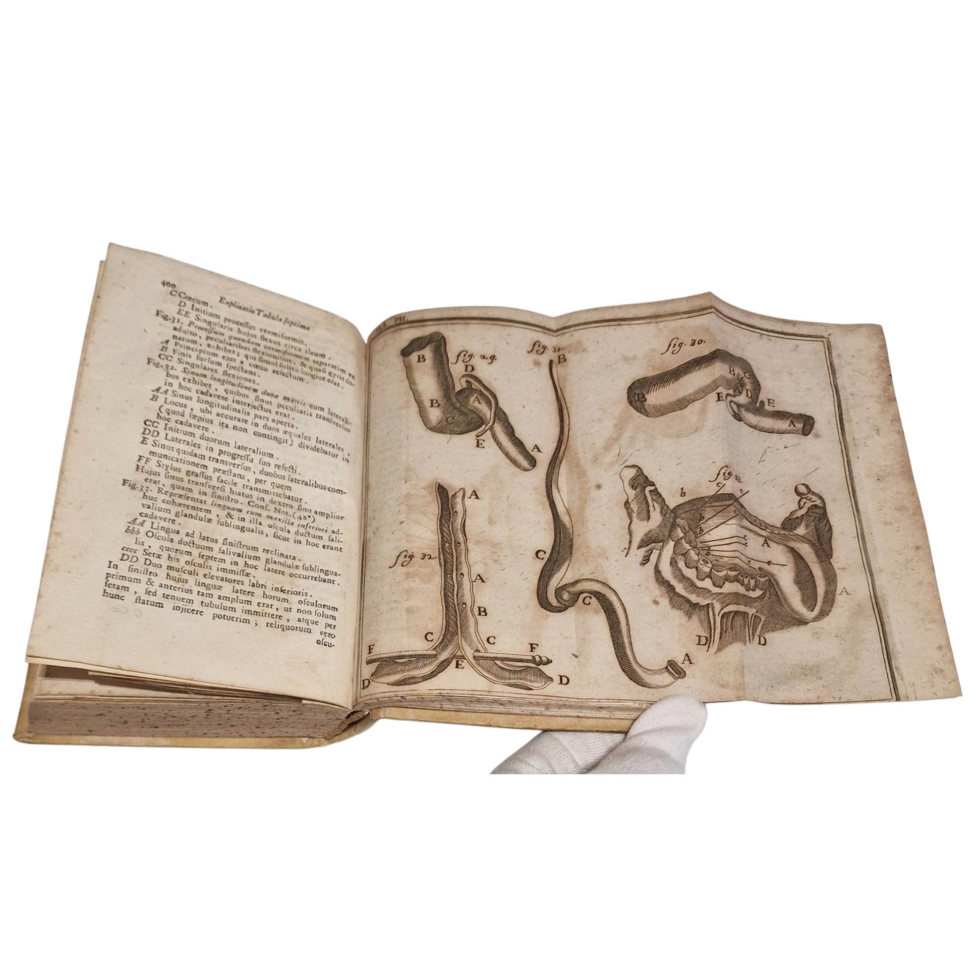 Antique medical book (1761) Laurentii Heister Compendium Anatomicum Naples Latin with engraved plates + Certificate - Image 14
