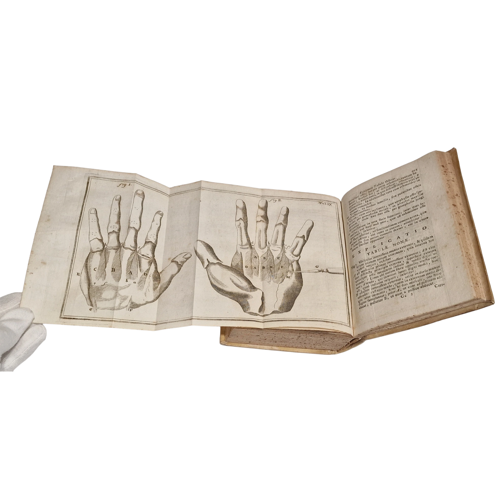 Antique medical book (1761) Laurentii Heister Compendium Anatomicum Naples Latin with engraved plates + Certificate - Image 15