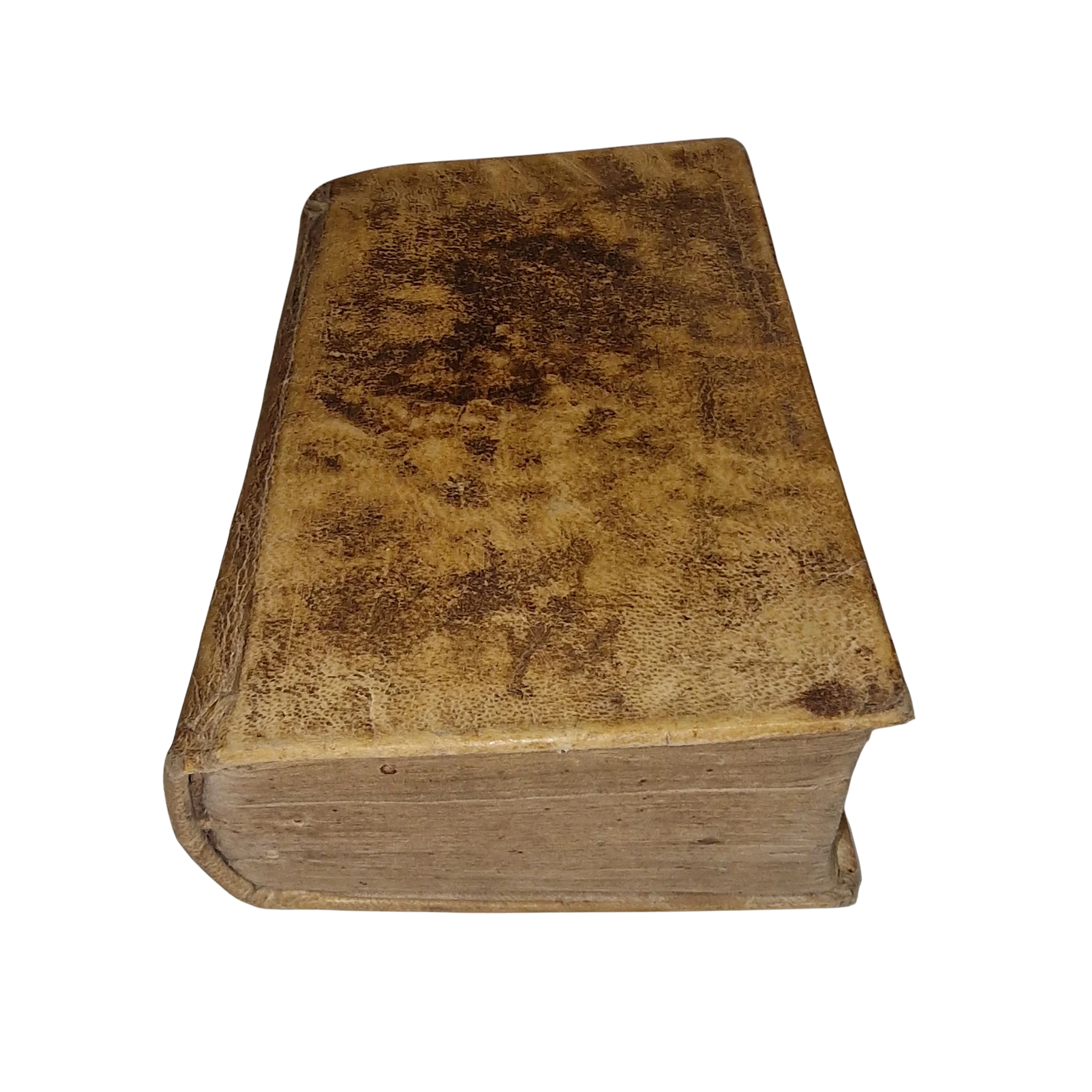 Cicero Epistulae ad familiares 1781 Latin vellum book Naples - Image 9