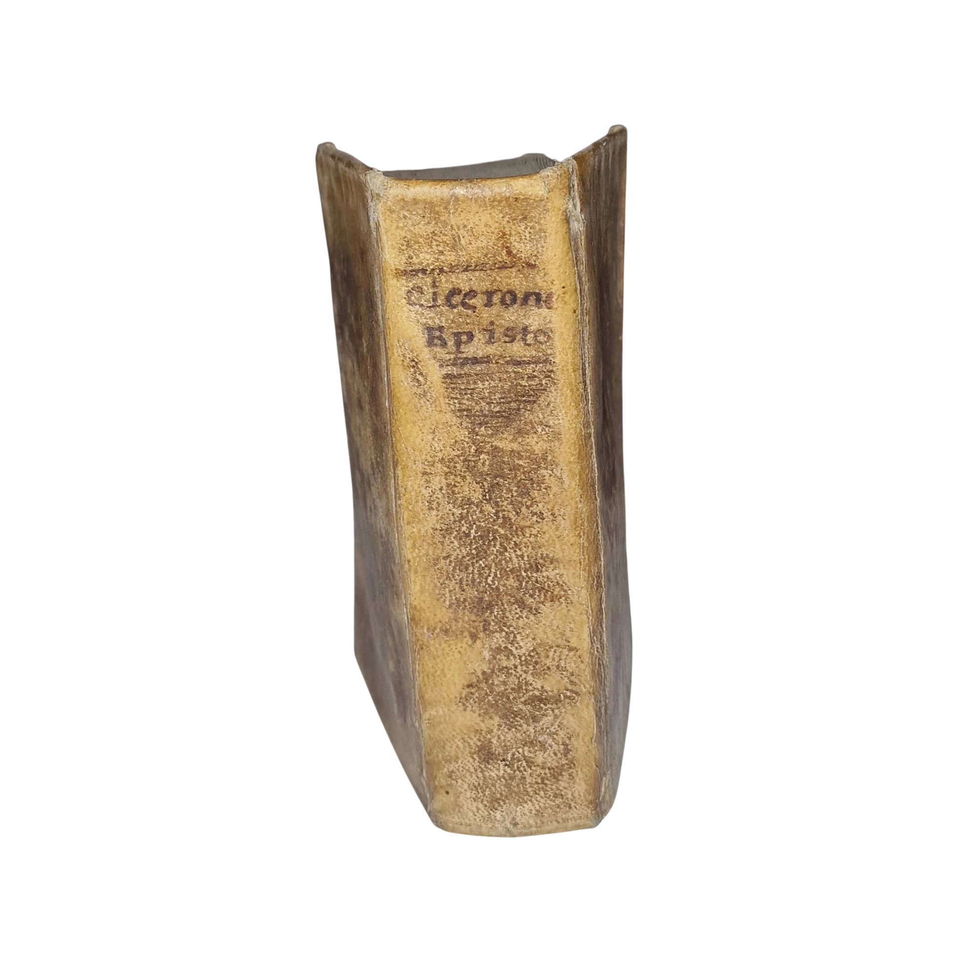 Cicero Epistulae ad familiares 1781 Latin vellum book Naples - Image 11