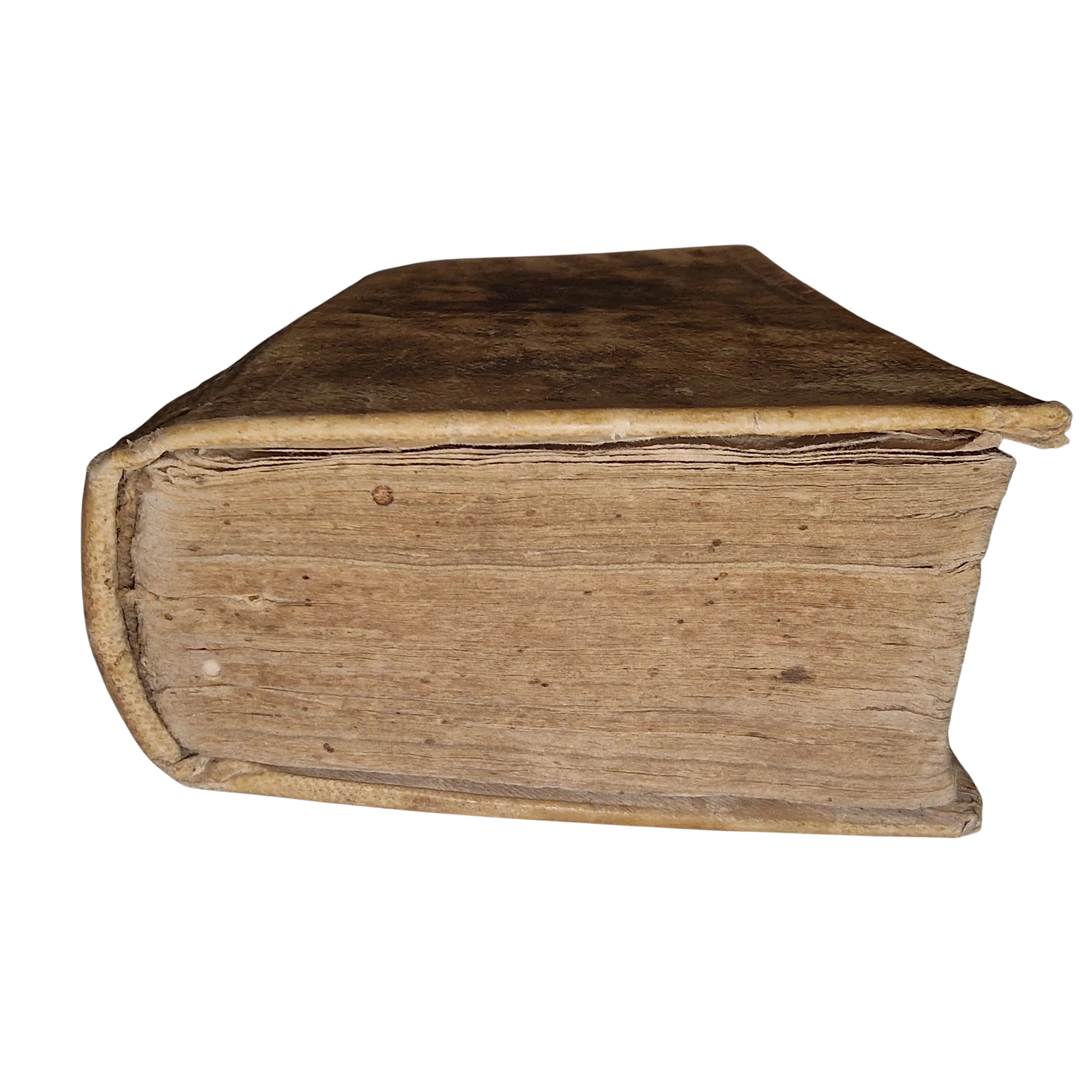 Cicero Epistulae ad familiares 1781 Latin vellum book Naples - Image 12