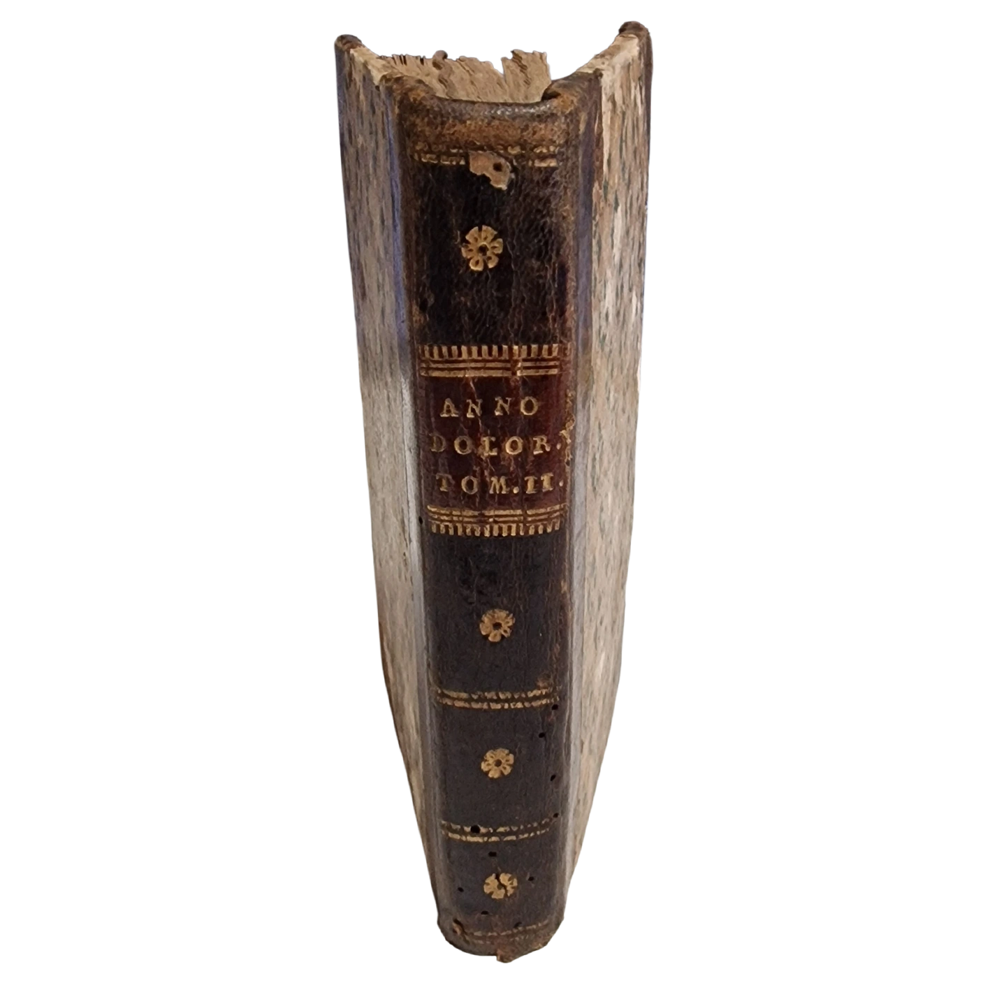 Anno Doloroso (1787) Vol. II – Antonio di Olivadi – Remondini Venice – Antique Italian Devotional Book - Image 13