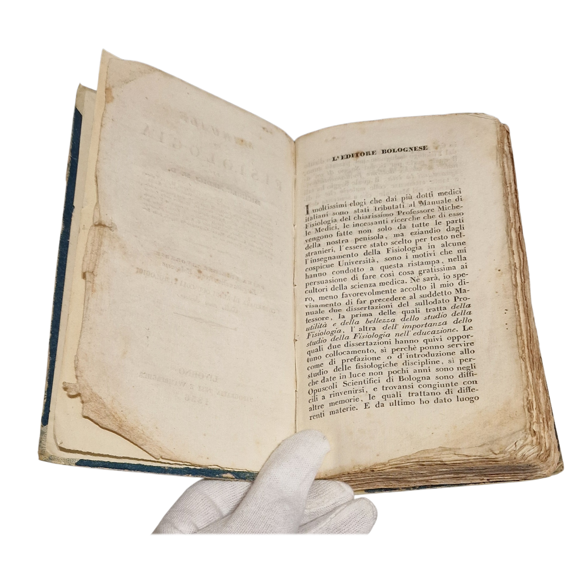 Antique medical book (1836) Michele Medici Manuale di Fisiologia Livorno Italian first ed. - Image 5