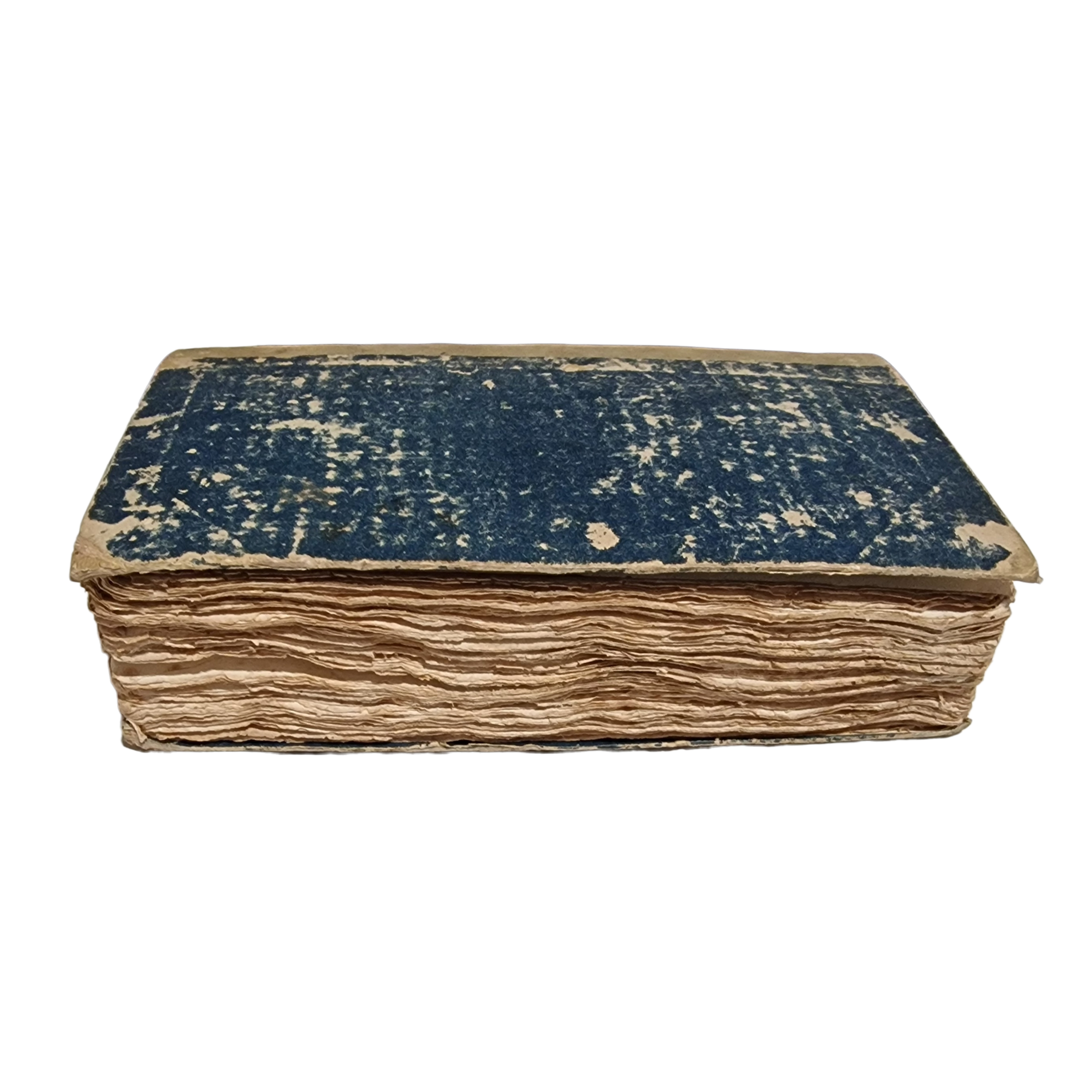 Antique medical book (1836) Michele Medici Manuale di Fisiologia Livorno Italian first ed. - Image 6