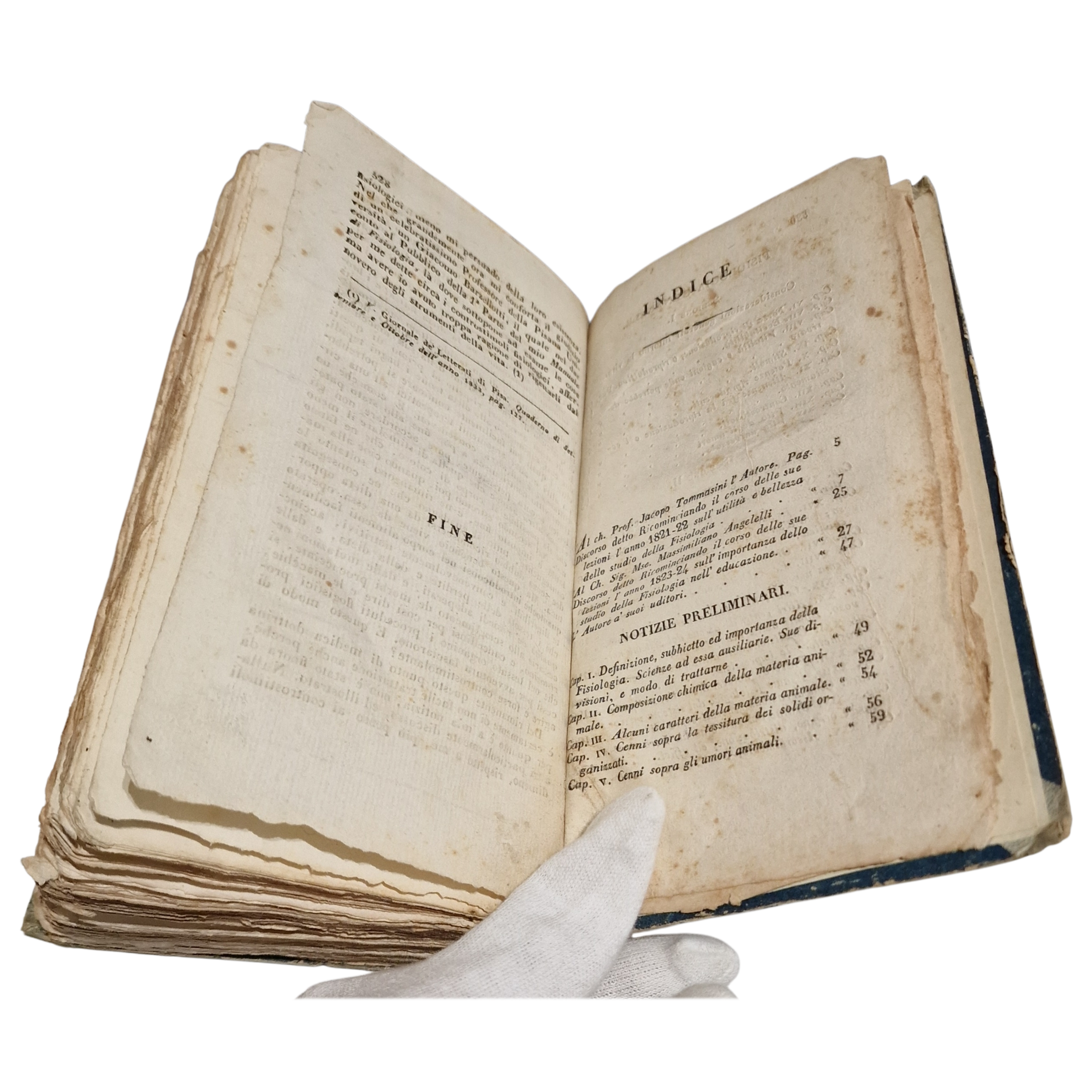 Antique medical book (1836) Michele Medici Manuale di Fisiologia Livorno Italian first ed. - Image 7