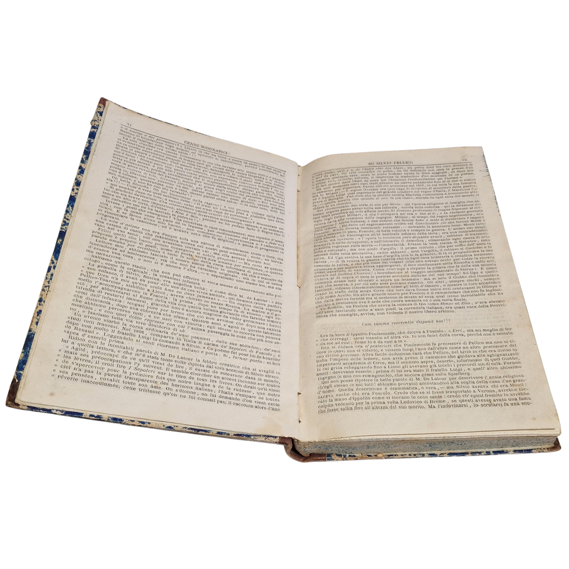 Antique 1878 Italian Book Silvio Pellico Complete Works Risorgimento Library Volume - Image 7