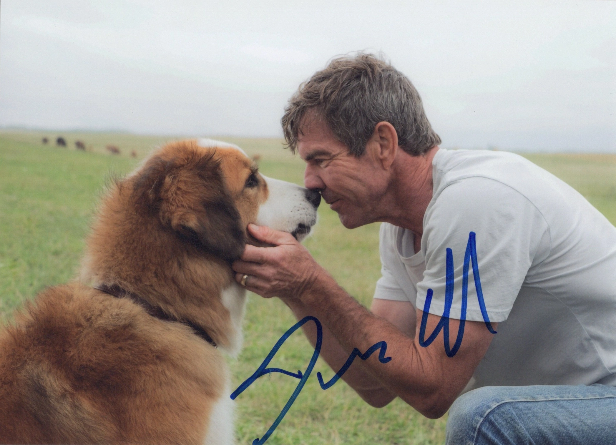 Dennis Quaid - Signed Photo - A Dog's Purpose