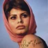Sophia Loren - Signed Photo - Elegant Headscarf Portrait