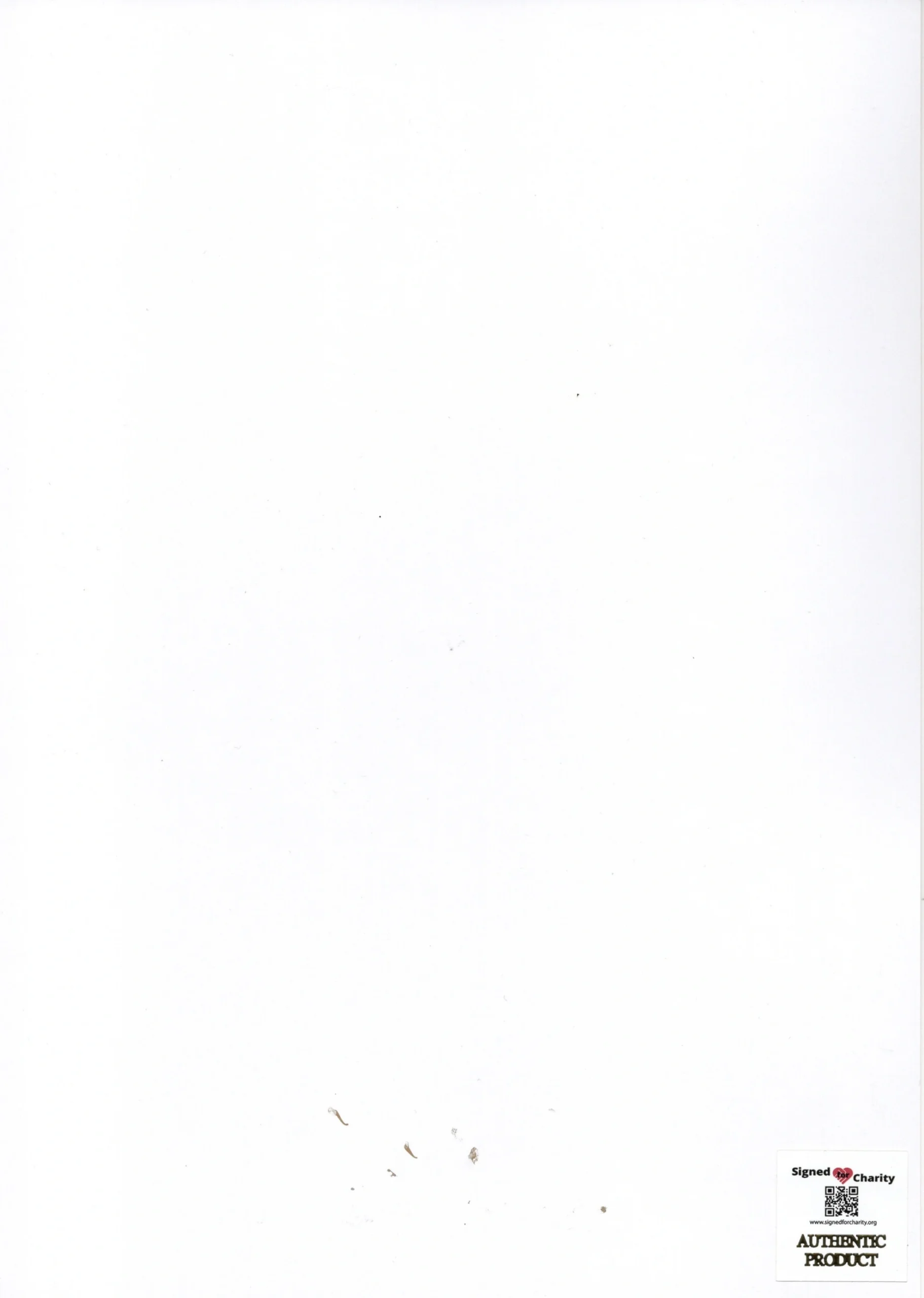 Sophia Loren Signed 90th Birthday Celebration Print Limited Edition 1/90 Gold Autograph - Image 3