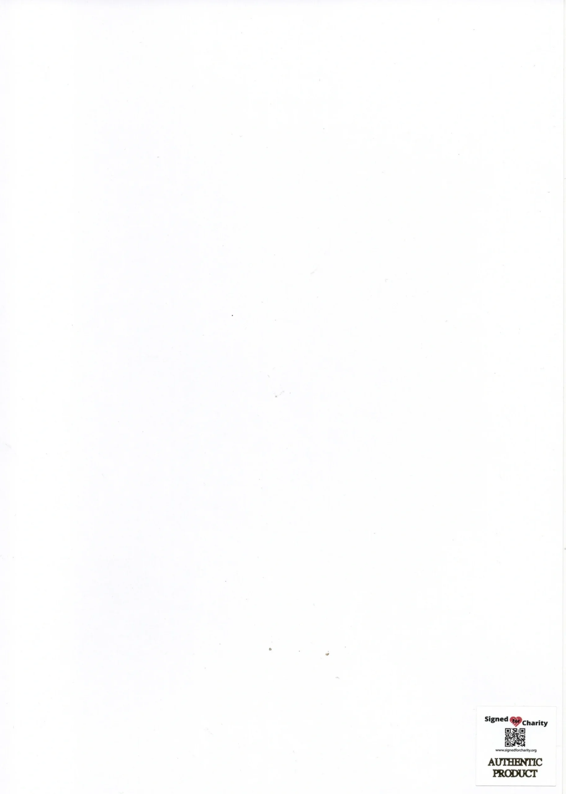 Sophia Loren Exclusive 90th Birthday Hand Signed Print Gold Limited Edition 90/90 - Image 3