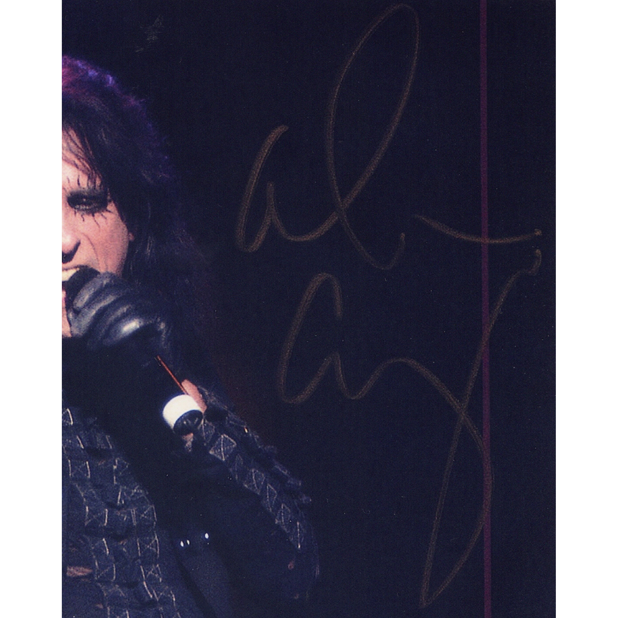 Alice Cooper โ Signed Photo โ Rock Legend - Image 2