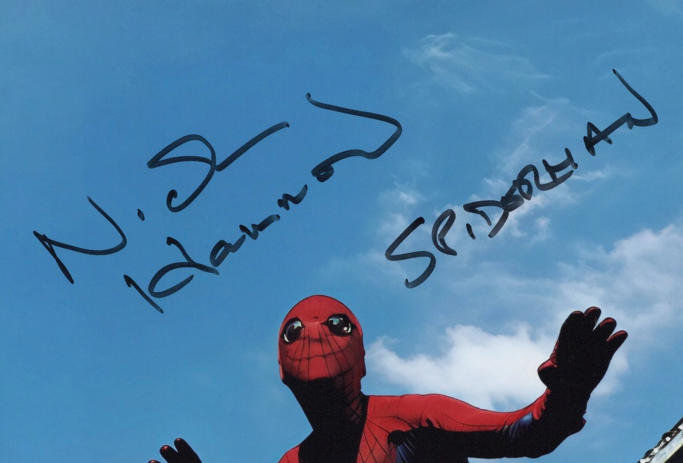 Nicholas Hammond Signed Photo – The Amazing Spider-Man 1977 TV Series - Image 2